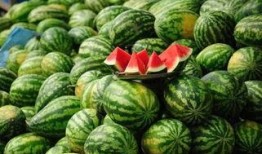 南宁吃瓜网红事件真相,揭秘背后真相与网络舆论的漩涡